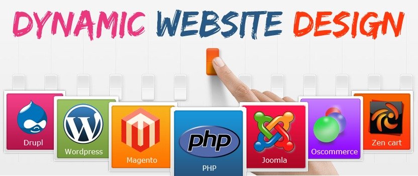 webreact web design company in raipur chhattisgarh
